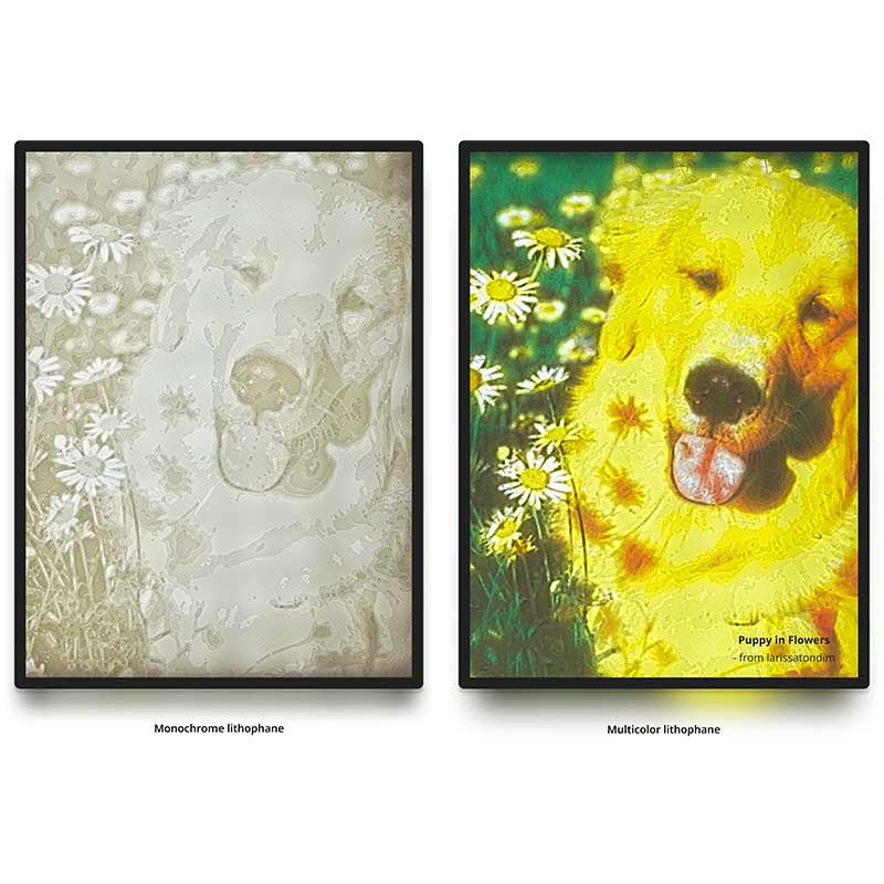 PLA CMYK Lithophane Bundle Bambu Lab