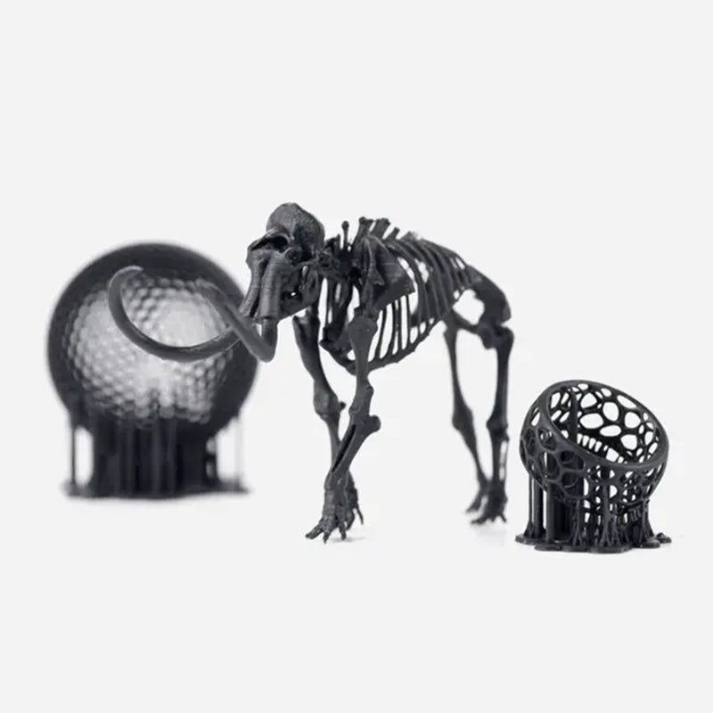 Formlabs Black V5
