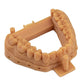Orthodontic UV Resin Orange