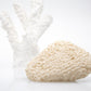 ColorFabb AllPHA